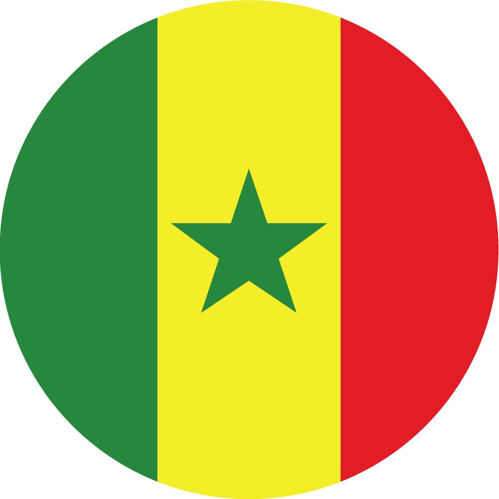 drapeau sénégal